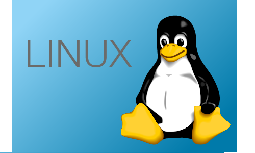 Linux Server Configuration